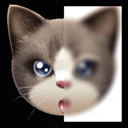 趣拍玩图照相机手机版