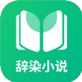 辞染小说原版