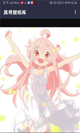 真寻壁纸库官方最新版图3