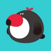 犀鸟公考手机最新版