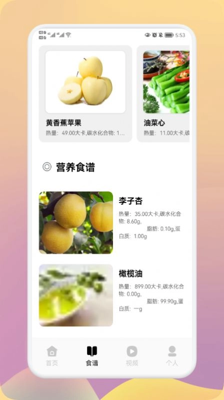 瘦身计划大师免费原版图2