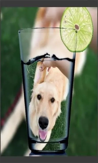 趣拍玩图照相机免费版图2