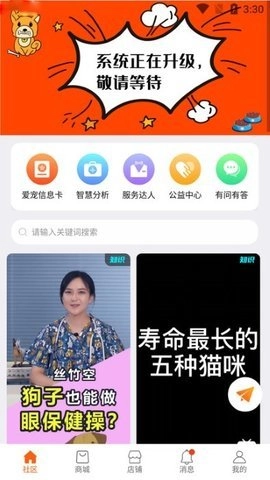 世纪天宠