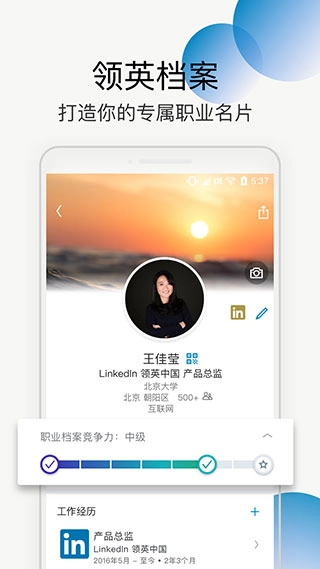 linkedin国际版图4