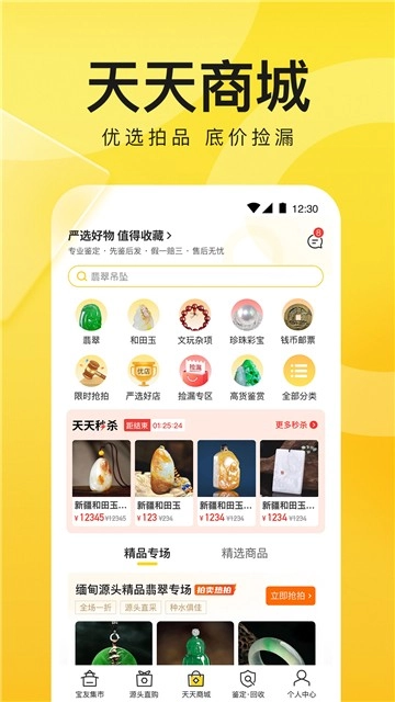 天天鉴宝通用版