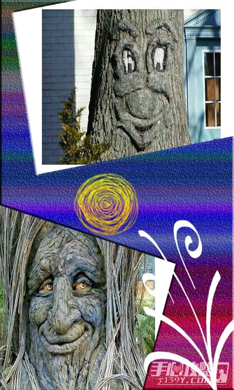 美美相框照相机官方最新版图3