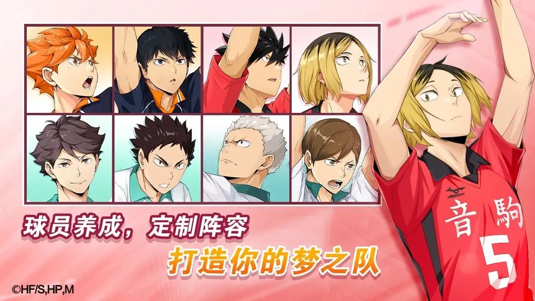 排球少年新的征程中文版