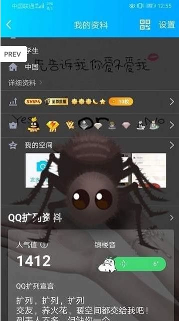 麦麦语音