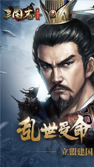 三国志威力无双手机免费版图3