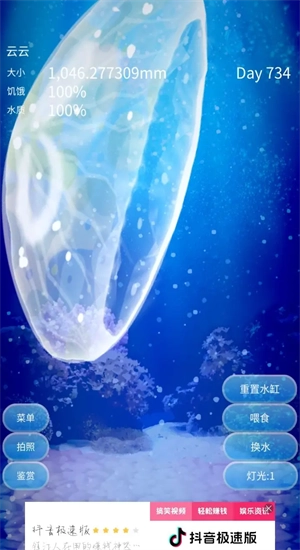 养育水母的治愈