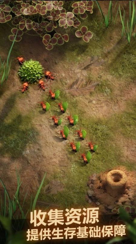 小小蚁国手游版图1