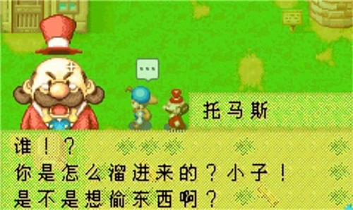 牧场物语矿石镇的伙伴们安卓免费版(1)
