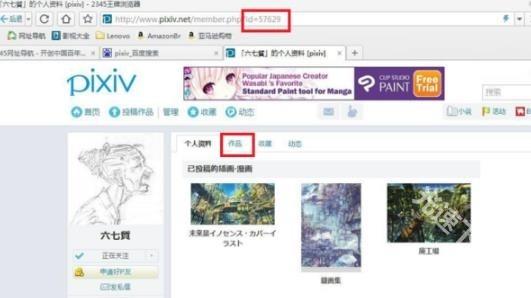 pixiv高级版