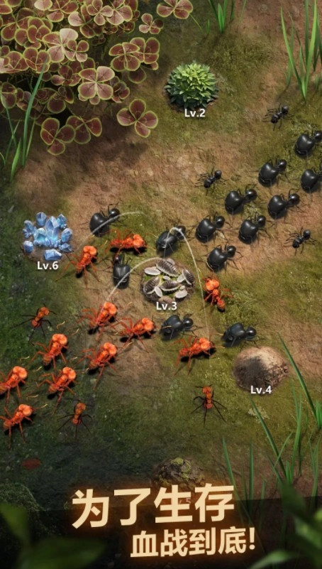 小小蚁国手游版图3