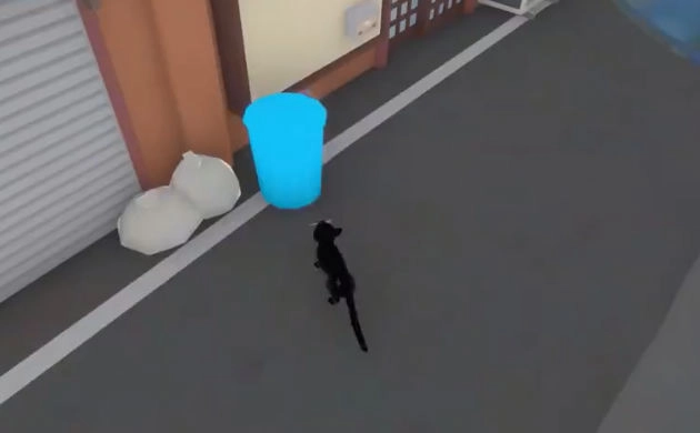 只是只小猫