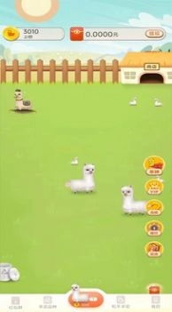 金羊驼农场