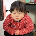 合成杨金刚免费原版