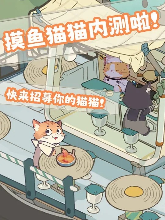摸鱼猫猫