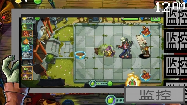 植物大战僵尸午夜后宫