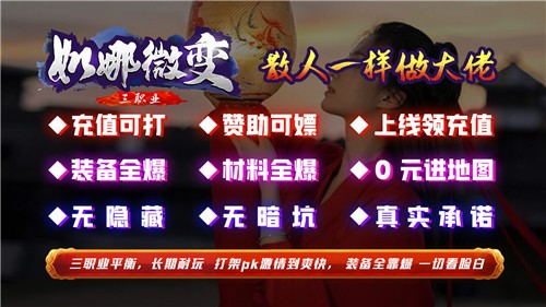 如娜微变三职业图2