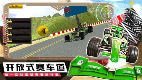 模拟极速赛车手手机版图3