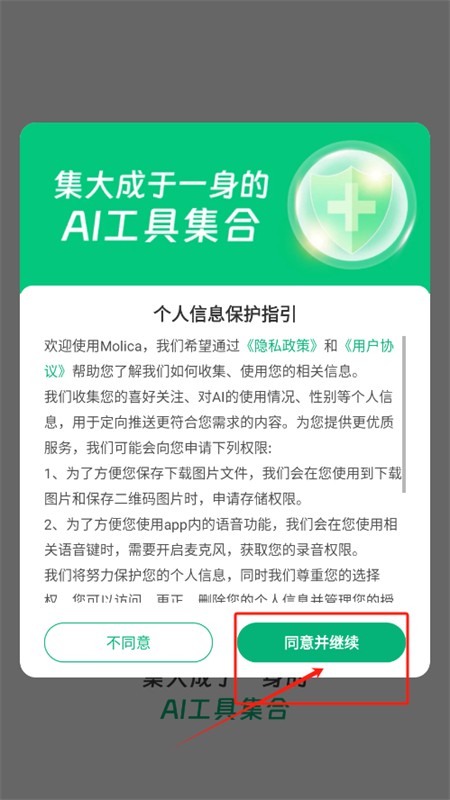 Molica AI安装同意协议步骤截图