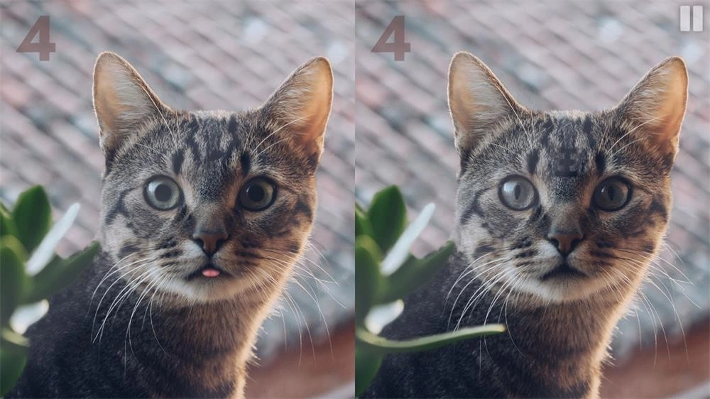 慧眼寻异安卓直装版图3