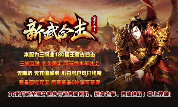 新武星王合击图2