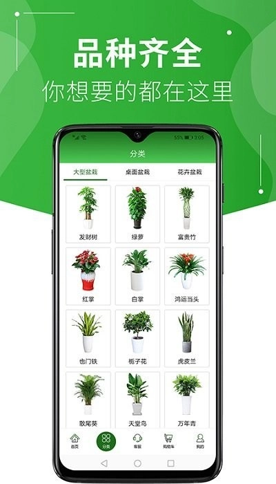 绿植到家