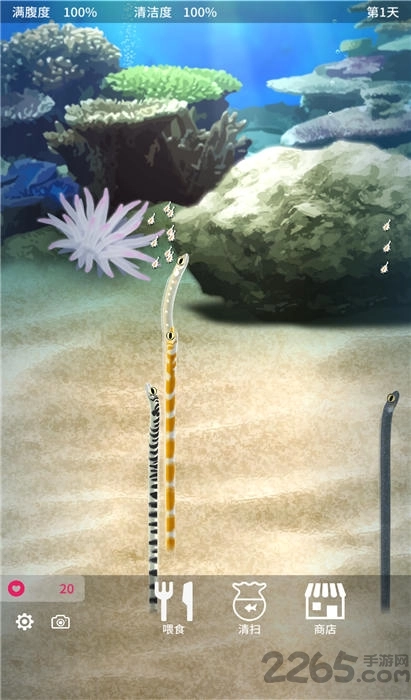 养育花园鳗的治愈游戏手机版