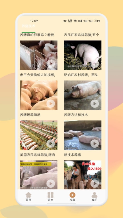 幸福养猪场无广告版图1