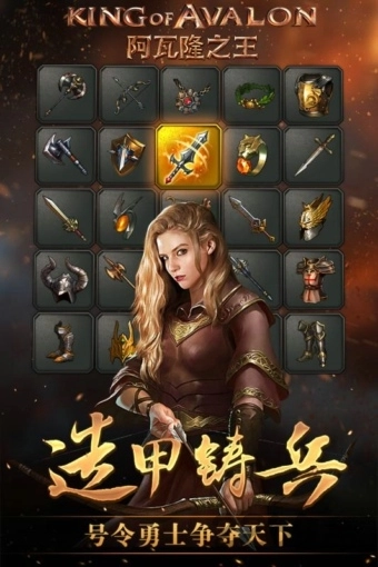 阿瓦隆之王ios版图1