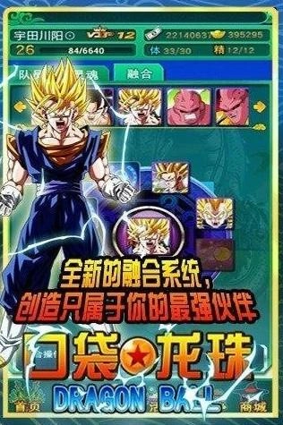 口袋龙珠通用版图2