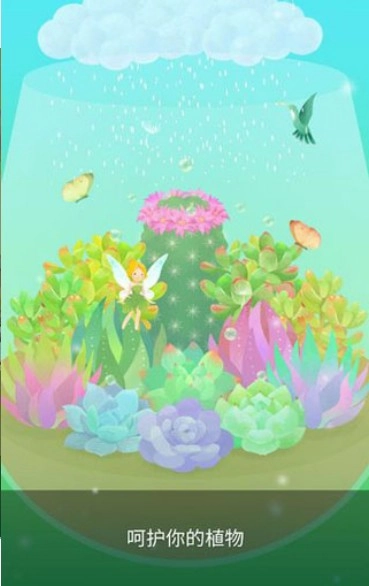 我的水晶花园