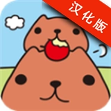 水豚先生