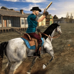 西部狂野赏金猎人游戏