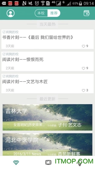 青梅图4
