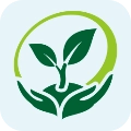 苗木联盟官方版