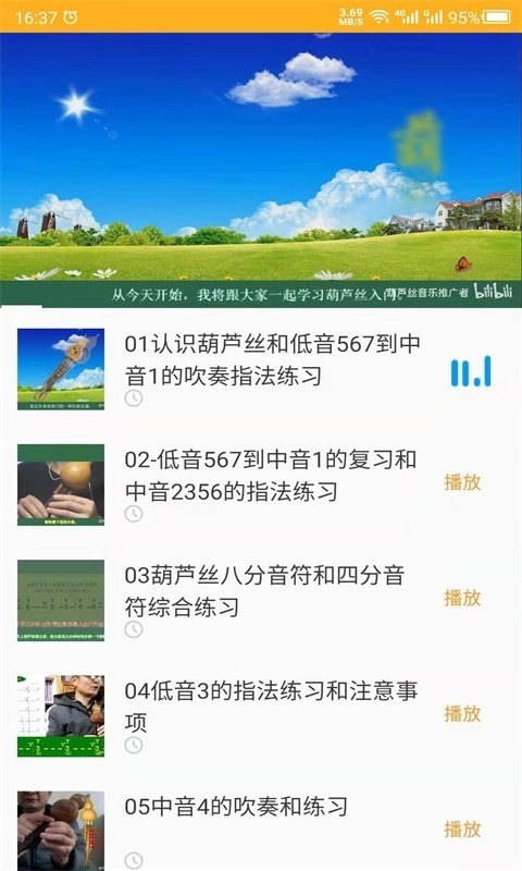 最美葫芦丝图3