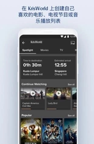 singaporeair图2