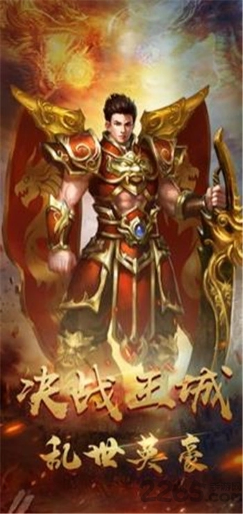 决战王城热血英豪手游直装版图2