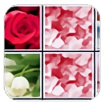 花花连连看手机版