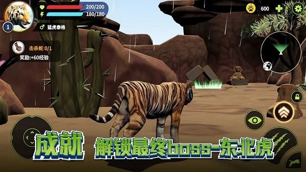 老虎生存大作战