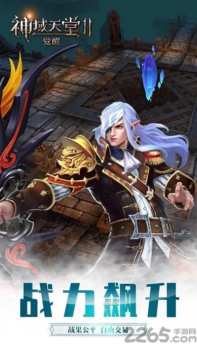 神域天堂2觉醒