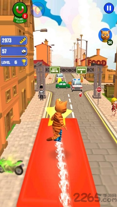 猫跑狮子2图3