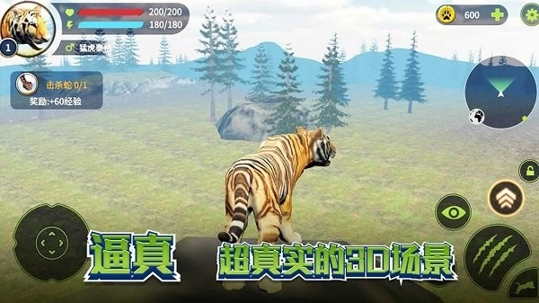 老虎生存大作战