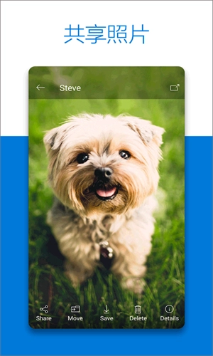 onedrive最新版