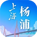 上海杨浦