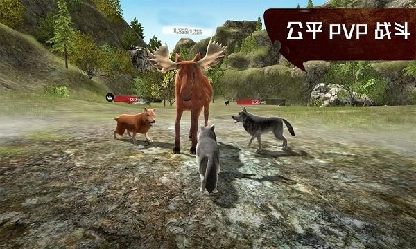 模拟狼王生存记手机版图2