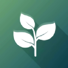 禅意2026手机最新版